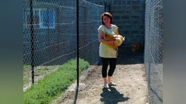 как построить птичник курятник