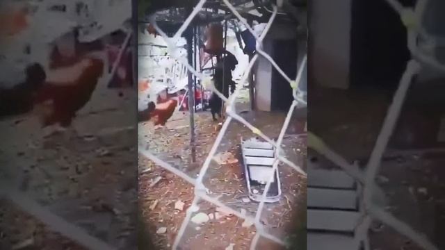 Очень страшное кино