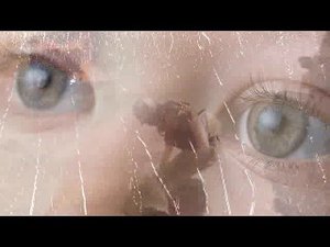 Сирень   группа СССР, монтаж видео  - Александр Голубкин (г.Курган)