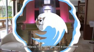 Тур в Кемер, Турция. Отель Stella 4*
