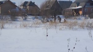 паксус 600 тайга и паксус 500 передний привод.9л.с.