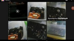 Как снимать видео и играть одновременно