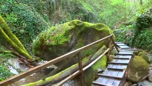 Где побывать на отдыхе в Лазаревском. Каньон Прохладный.