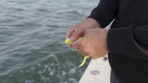 DoormatadorZ 6 inch FLUKE BAIT