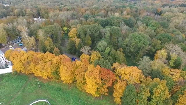 Новомосковск. Взрослый парк. Осенние деревья и ржавое колесо.