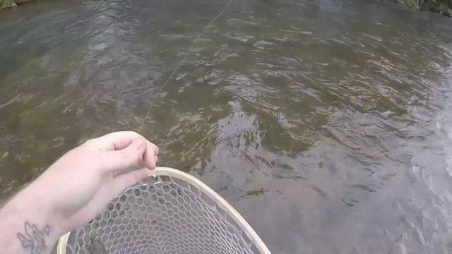 1v1 Trout Fishing CHALLENGE | Real vs Fake NIGHTCRAWLERS +uncut clips! смотреть онлайн