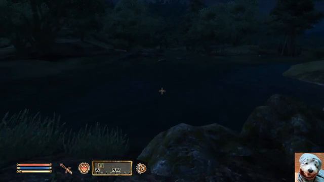 Elder Scrolls IV: Oblivion - 06 - Continuing Adventures! смотреть онлайн