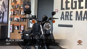 IRON 883 Harley-Davidson Sportster Black Denim