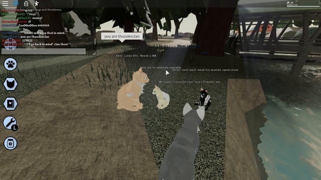 ROBLOX Warrior Cats! смотреть онлайн