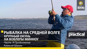 Алексей Шанин. Рыбалка на Средней Волге. Часть 3. Крупный окунь на воблеры-минноу. Продолжение