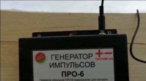Электропастух солнечная батарея и свиньи - экскурс в реальность