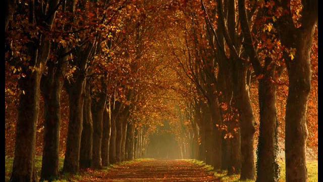 Luciano Castro (músico) - silencio смотреть онлайн