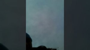 охота на бобра с ружьем