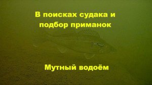 Поиск и подбор приманок по судаку, подводные съёмки