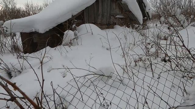 Охота на зайца. Охота по белой тропе ?