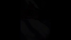 они летают...