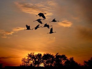 Самого Доброго И Уютного Вечера, Друзья