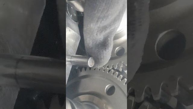 puesta a punto correa de distribución chevrolet trail blazer 2. 5 diessel. смотреть онлайн