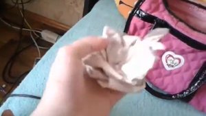 Еду на дачу. Что нужно для басика