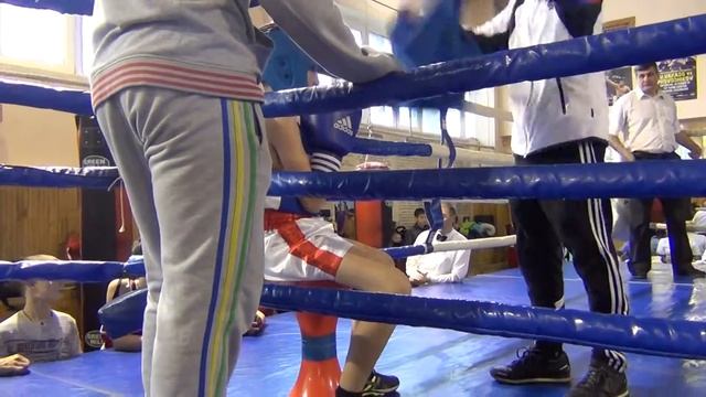 Артём соревнования по боксу (синий угол) смотреть онлайн