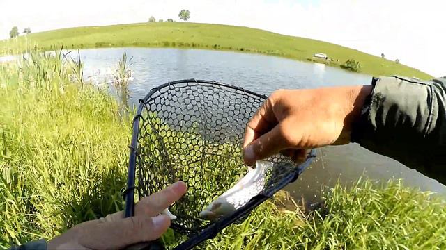 Удачный 6.06.2020 смотреть онлайн