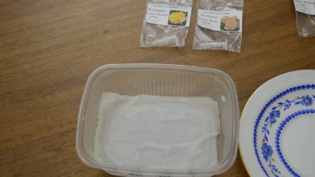 Сею бегонию, эустому и дихондру. смотреть онлайн