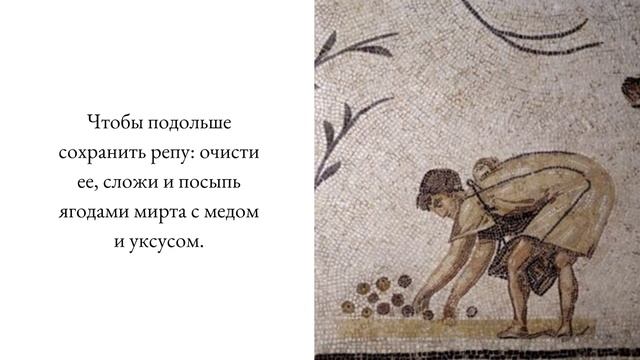 Как хранили продукты в Древнем Риме? Проверяем античный способ хранения мяса.