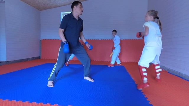 Отработка ударов на встречу, подсечки, домашняя тренировка каратэ WKF