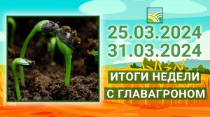 Итоги недели с ГлавАгроном. 25.03.2024 - 31.03.2024 🍀🍀🍀🍀