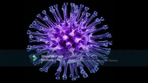 Топ 10 самых опасных вирусных заболеваний