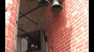 Новодевичий   монастырь - звон Дмитрия Казюко.