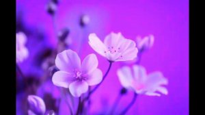 Слава Тебе Господь