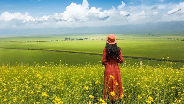 Ernesto Cortazar Best Collection 1 смотреть онлайн