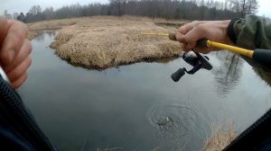 Вываживание крупной ручьевой форели или день одной блесны