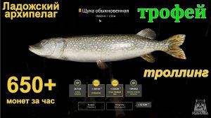 Русская рыбалка 4 / Ладожский архипелаг / Щука обыкновенная (трофей) 19.6 кг, троллинг 650+ за час