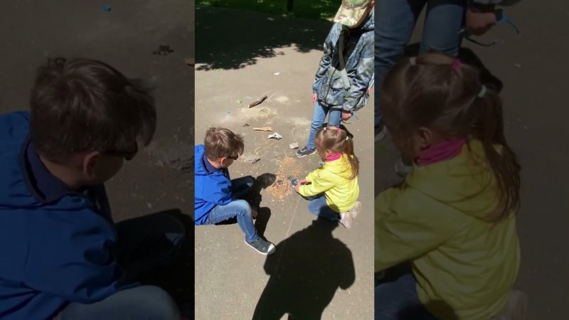 Здравствуйте, а это у вас овчарка?