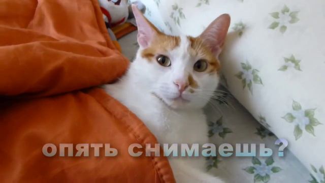 Хватит меня снимать... смотреть онлайн