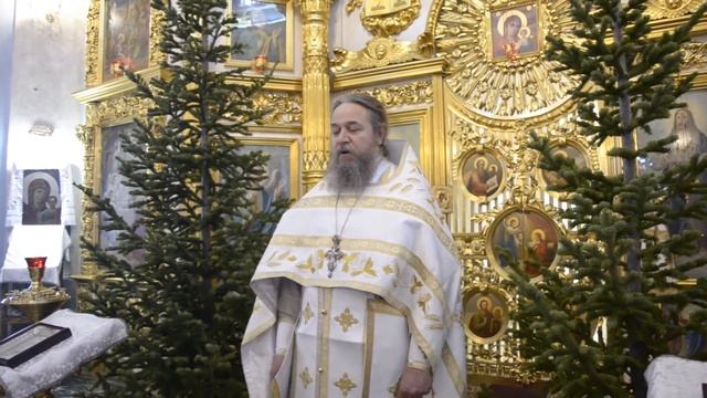 Проповедь протоиерея Сергия Кандыбина в день Собора Пресвятой Богородицы 8 января 2021 г. смотреть онлайн