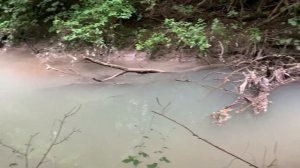 Моржи Анапы