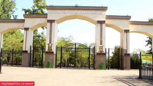 ОБЫЧАИ ТУРЕЦКОЙ СВАДЬБЫ! Смотреть до конца! НОВАЯ ТУРЕЦКАЯ СВАДЬБА!