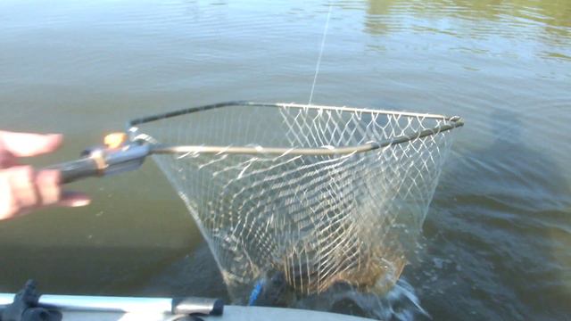 Рыбачим в начале августа,клев начался...