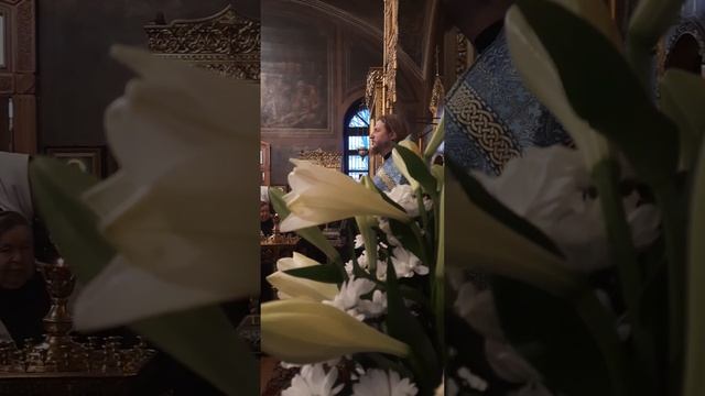 Престольный праздник.6 ноября 2023г. проповедь отец Димитрий. смотреть онлайн