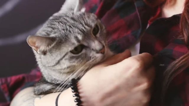 Неформат: живопись души смотреть онлайн