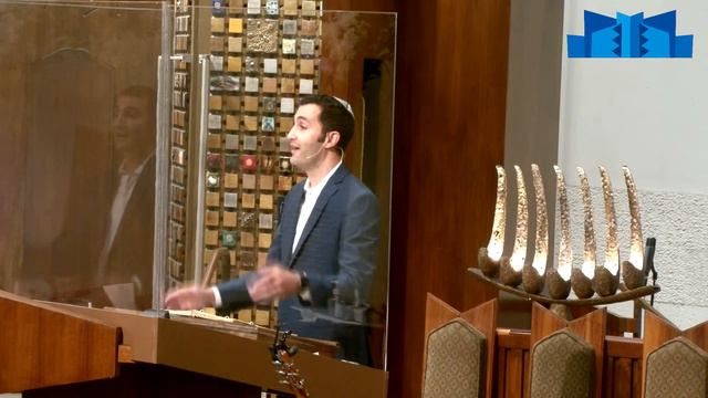 Stand In Solidarity With Israel смотреть онлайн