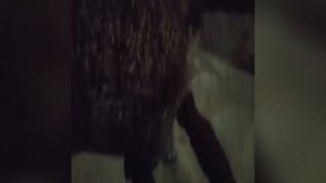 Увидеть ёжика во дворе или на участке. Народные приметы.