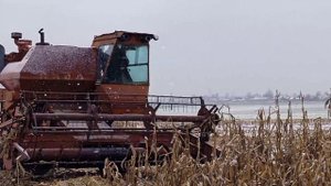 вернулись в СССР уборка комбайном Нива