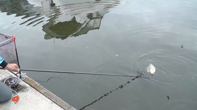 РЫБАЛКА В ЦЕНТРЕ КИЕВА! Фидерная ловля с комфортом. Рыбное место.
