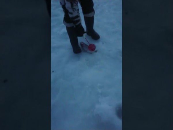 Форель с бонусом
