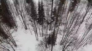 Зимний поход в метель. Лесная изба - балаган. Рыбалка. Таёжный быт. Ночёвка в лесу. Лесная кухня.