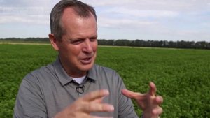 Как производят эфирные масла Дотерра. Пункт дистилляции Esseterre в Болгарии.